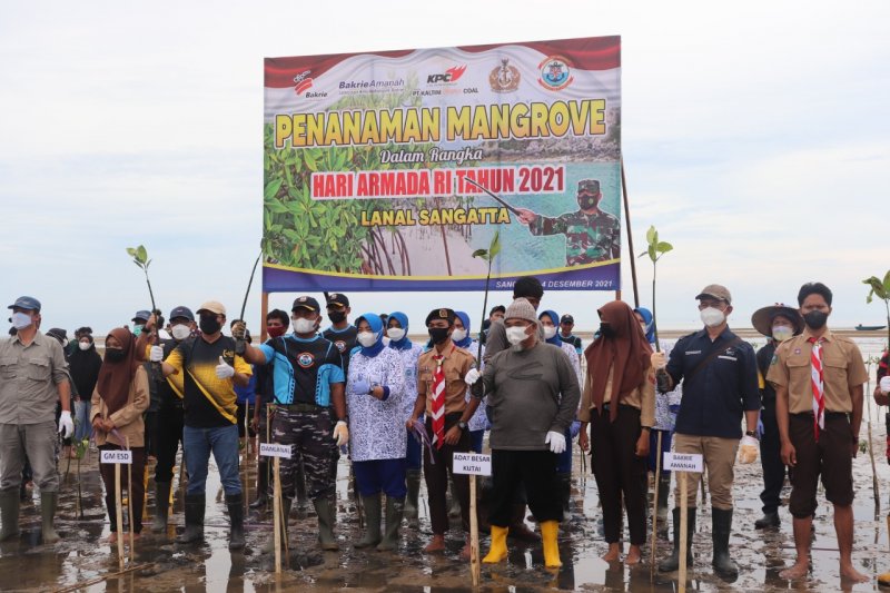 Peringati Hari Menanam Pohon Indonesia: Bakrie Amanah, Kaltim Prima Coal & Lanal Sangatta Tanam 7000 Pohon