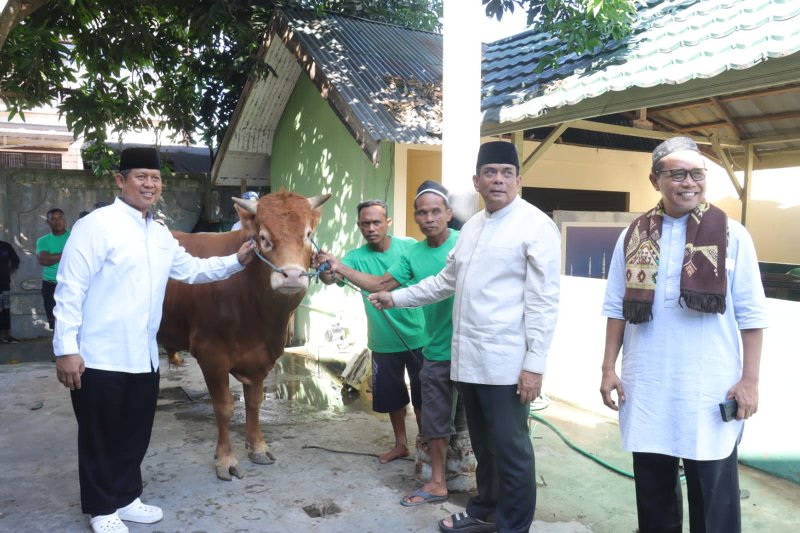 Hari Raya Idul Adha 2023, Polda Gorontalo Kurban 75 Ekor Sapi dan Kambing.
