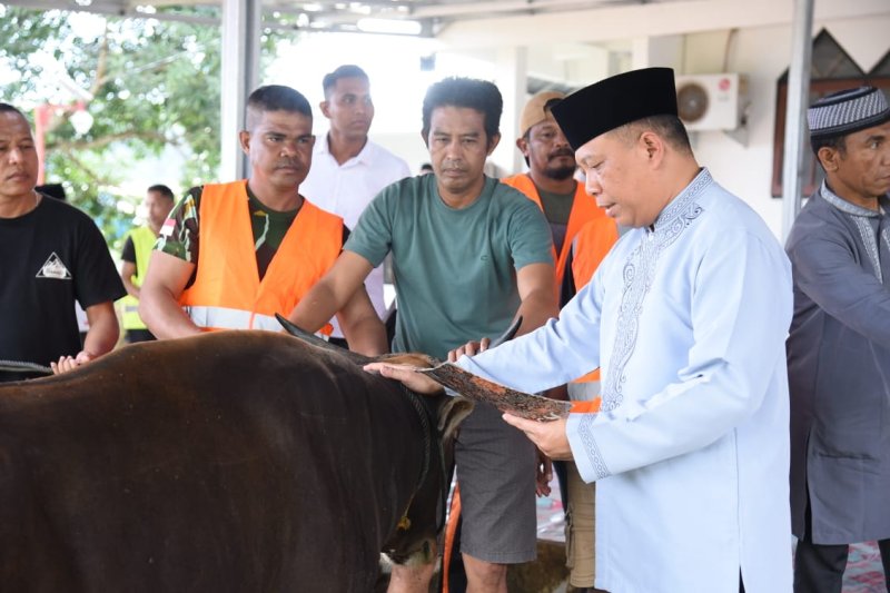 Polda Maluku Salurkan Bantuan 106 Ekor Hewan Kurban, Kapolda: Semoga Berkah untuk Sesama