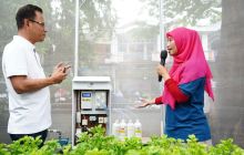D’Shafa Binaan PLN Mampu Raup Ratusan Juta Rupiah dari Smart Farming