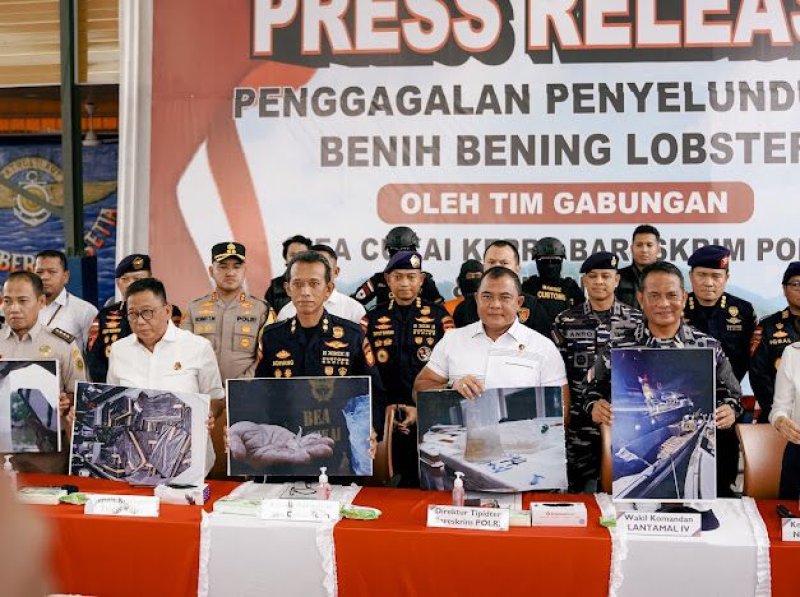 Dittipidter Polri Gagalkan Penyelundupan 151 Ribu Benih Lobster di Perairan Bintan
