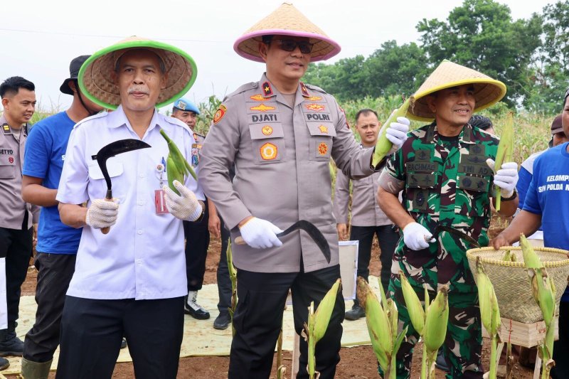 Wakapolda Metro Jaya Pimpin Gelar Panen Raya Jagung Ketahanan Pangan