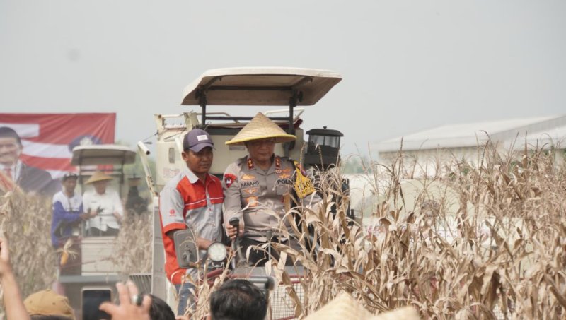 Kapolda Jatim Irjen Pol. Nanang Avianto Pimpin Panen Raya Jagung Hibrida di Sidoarjo