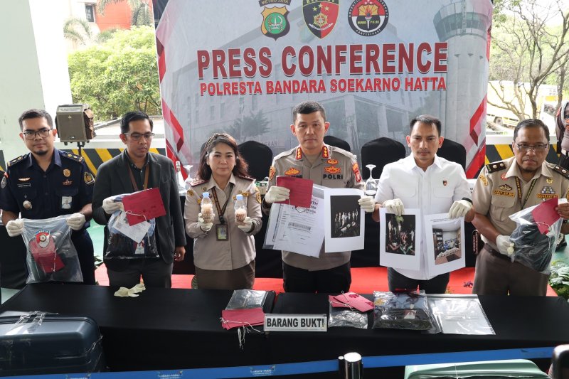 Polresta Bandara Soetta Gagalkan Penyelundupan Benih Lobster Senilai Rp9,2 Miliar