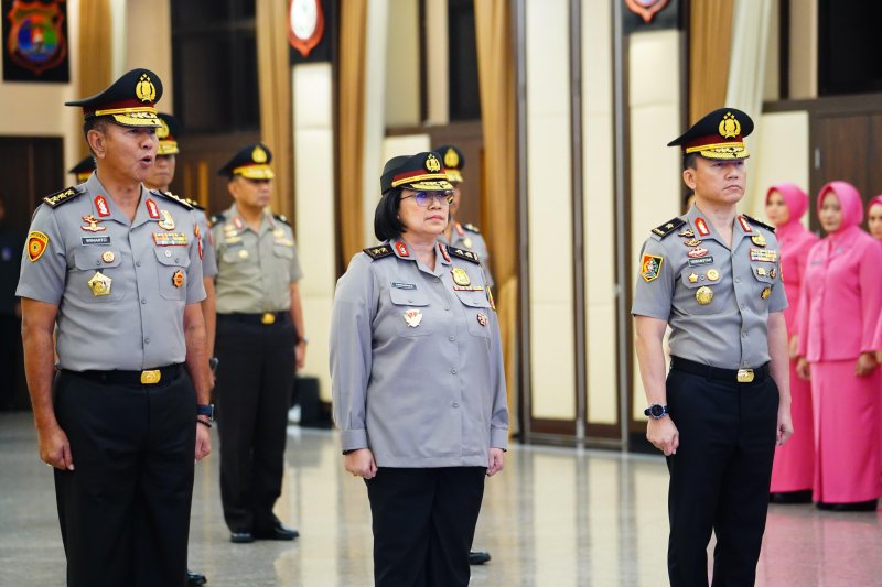 Katta kokraklar orasidagi 3gp video