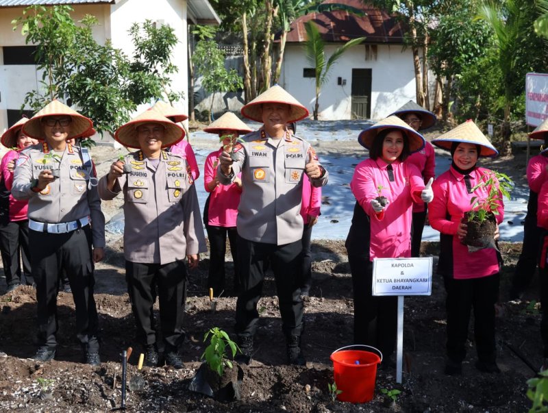 Dukung Ketahanan Pangan, Kapolda Kalteng Bersama Bhayangkari Panen Sayur di Lahan Pekarangan Pangan Lestari