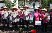 Dukung Ketahanan Pangan, Kapolda Kalteng Bersama Bhayangkari Panen Sayur di Lahan Pekarangan Pangan Lestari